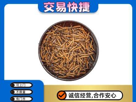 宾县回收散虫草